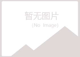 龙山区夜山水泥有限公司